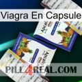 Viagra Capsule 12